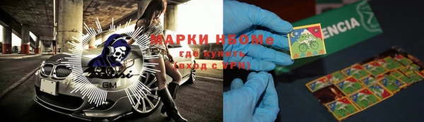дмт Инсар
