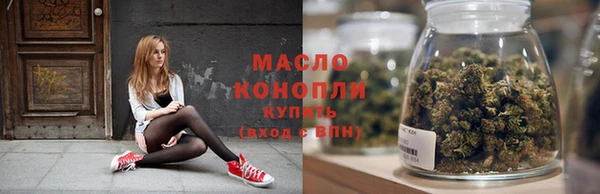 дмт Инсар