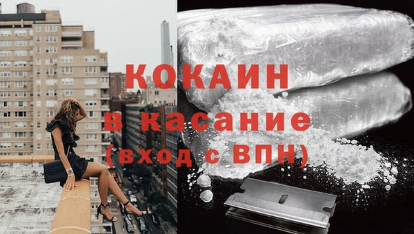 дмт Инсар