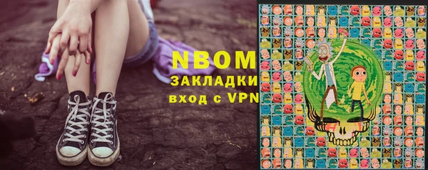 дмт Инсар