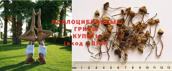 дмт Инсар