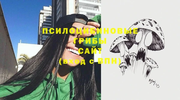 дмт Инсар