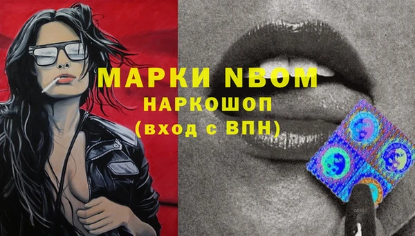 дмт Инсар