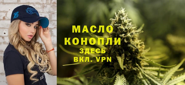дмт Инсар
