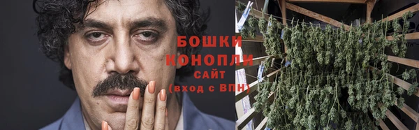 дмт Инсар