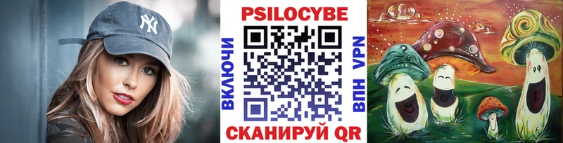 закладка  Миньяр  Псилоцибиновые грибы прущие грибы 
